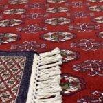 Red Bokhara Hand Knotted Rug