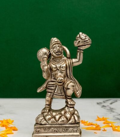 Hanuman Idol