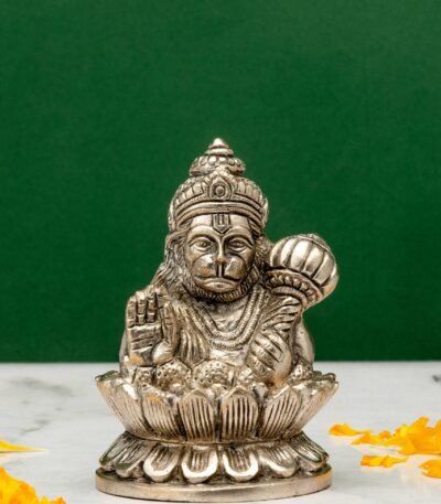 Hanuman Idol