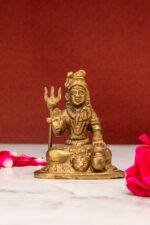 Brass Shiv