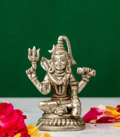 Shiva Idol