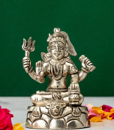 Shiva Idol