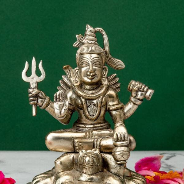 Shiva Idol