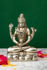 Shiva Idol