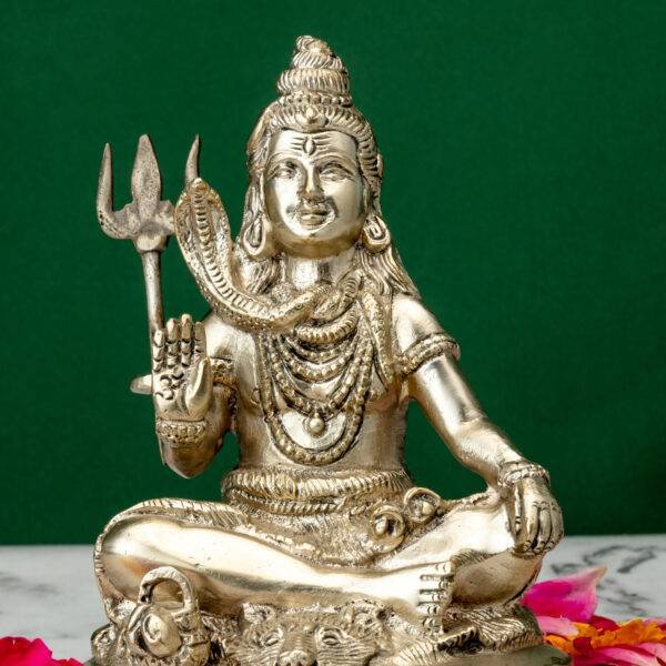 Shiva Idol