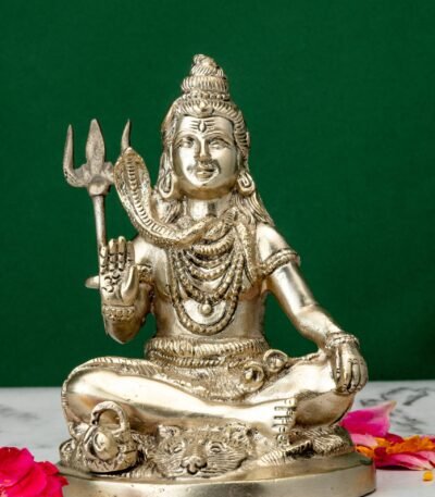 Shiva Idol