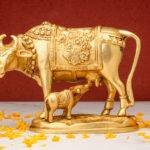brass-nandi