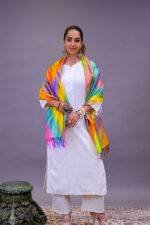 Premium Silk Ikat Scarf – Multicolor Abstract Hand woven Stole - Image 3