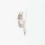 Handcrafted 92.5 Sterling Silver Centipede Brooch with Blue Sapphires and Zircon - Image 3