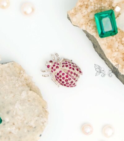 ladyBug Ruby Brooch